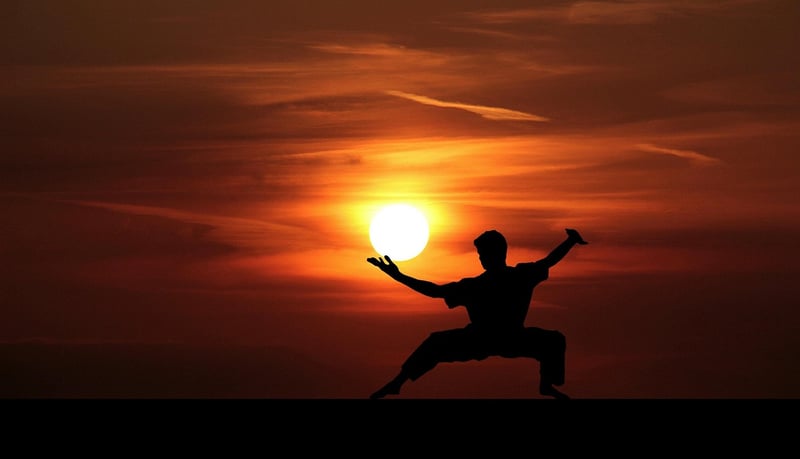 Chen Style Tai Chi Forms